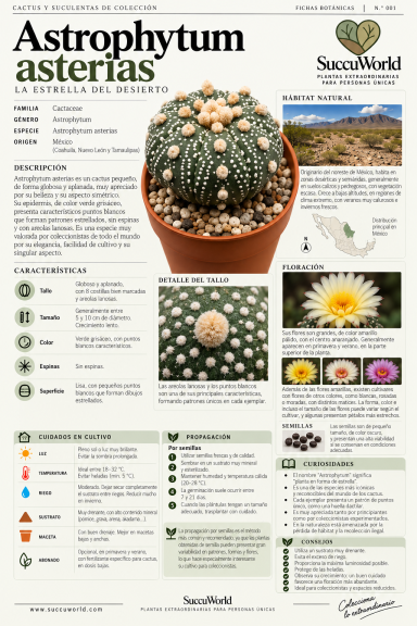Ficha 001