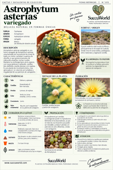 Ficha 015